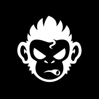 takuu Kick profile