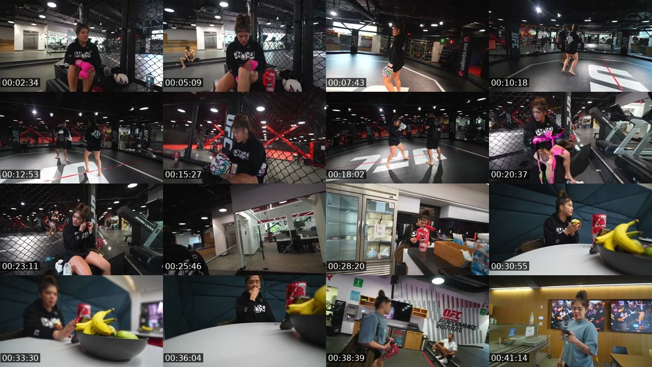 Contact-sheet preview of cortezmma's Kick recording