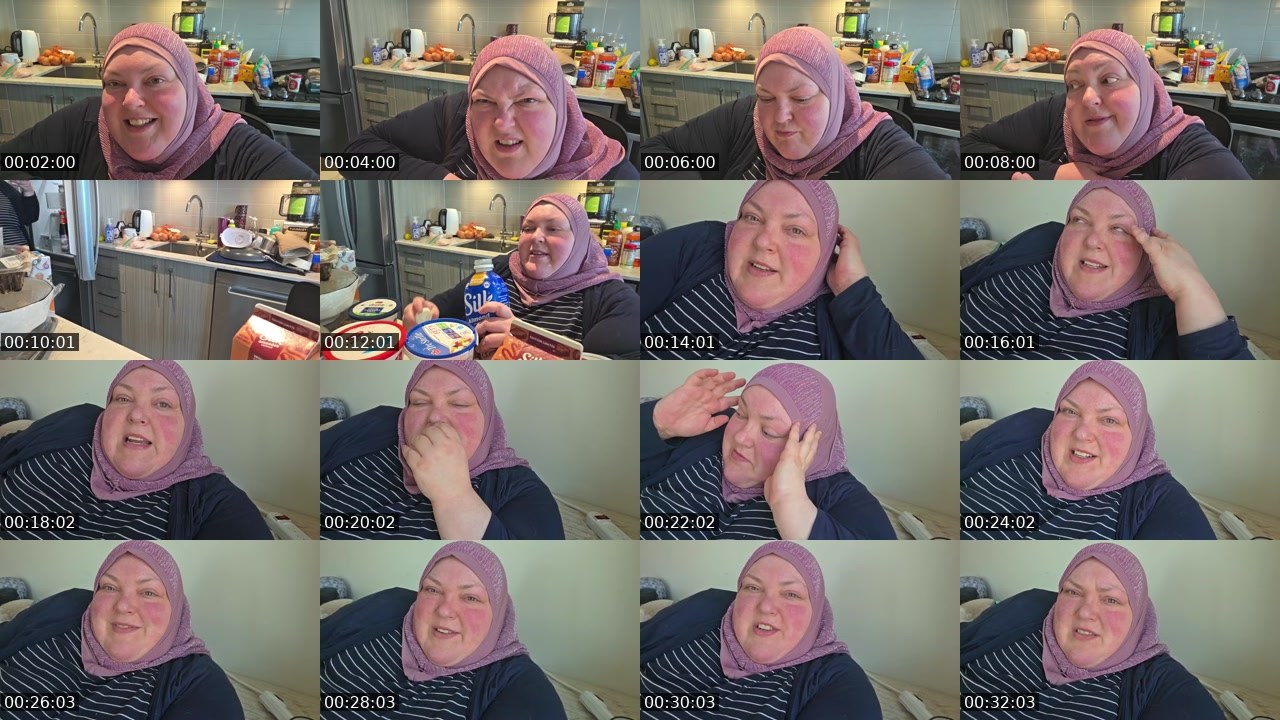 Contact-sheet preview of foodiebeautykick's Kick recording