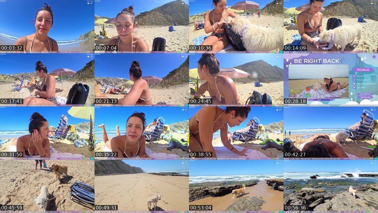 Contact-sheet preview of karii's Kick recording