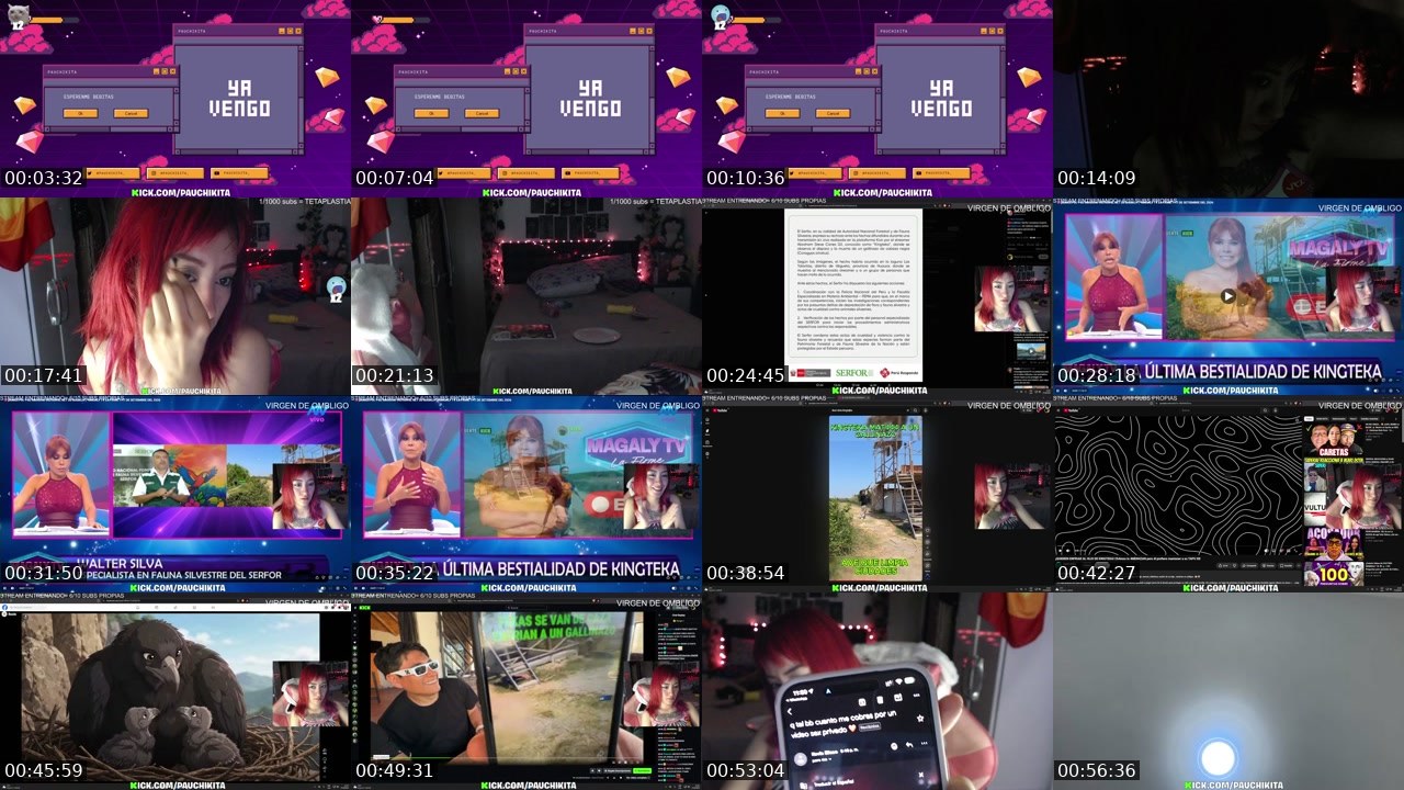 Contact-sheet preview of PauChikita's Kick recording