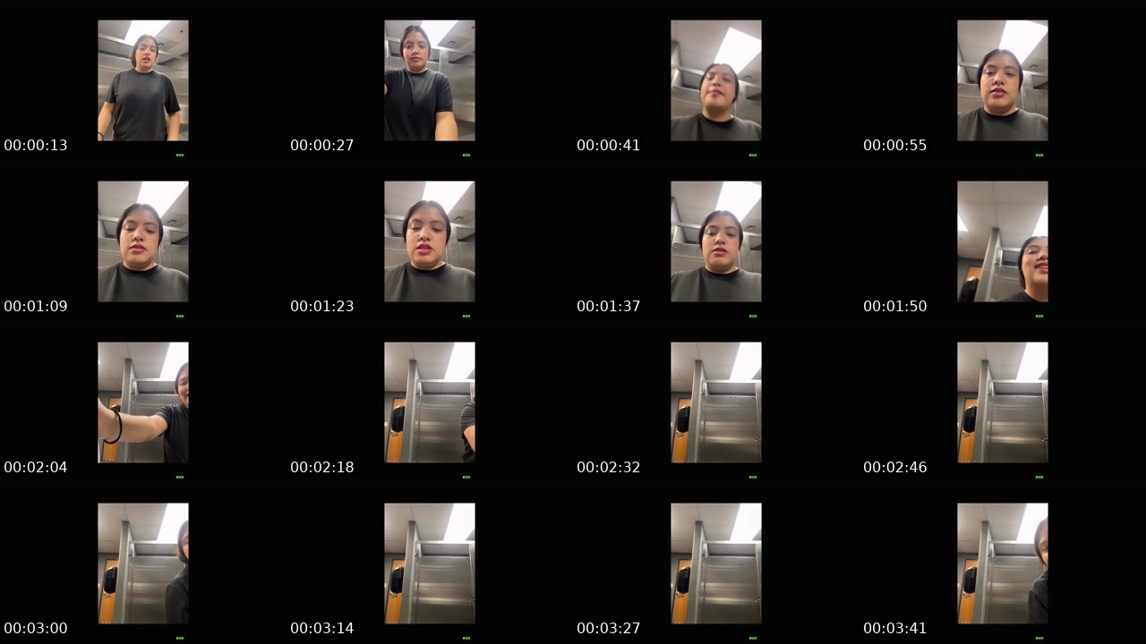 Contact-sheet preview of Alyvela21's Kick recording