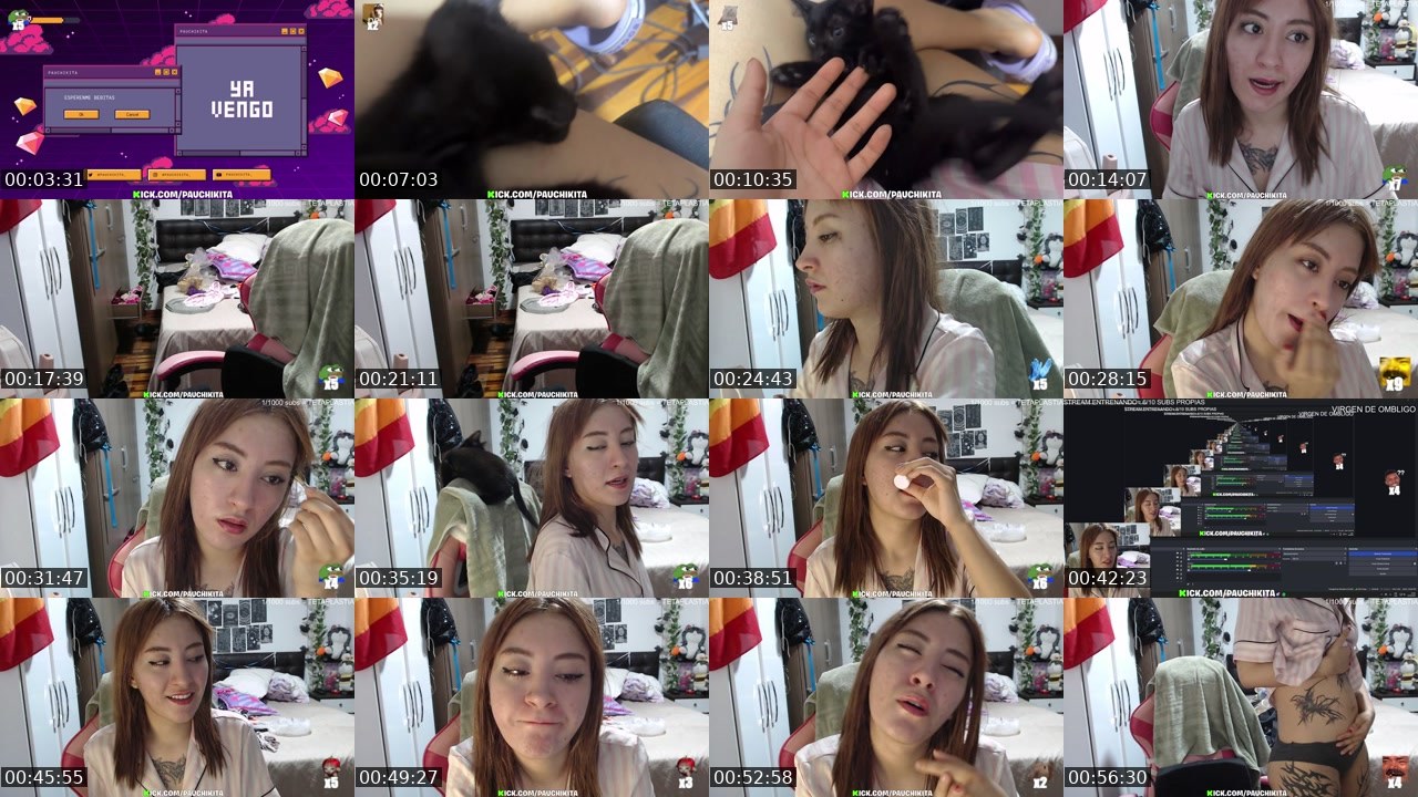 Contact-sheet preview of PauChikita's Kick recording