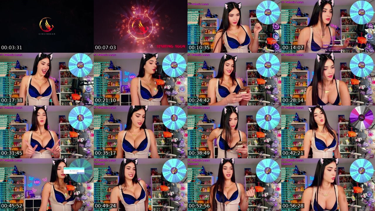 Contact-sheet preview of CinCinBear's Kick recording