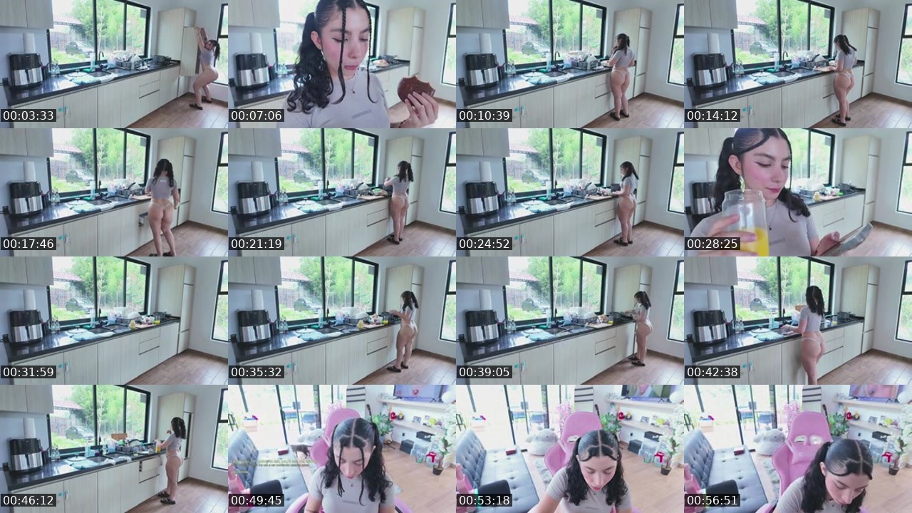Contact-sheet preview of VauraFairy's Kick recording
