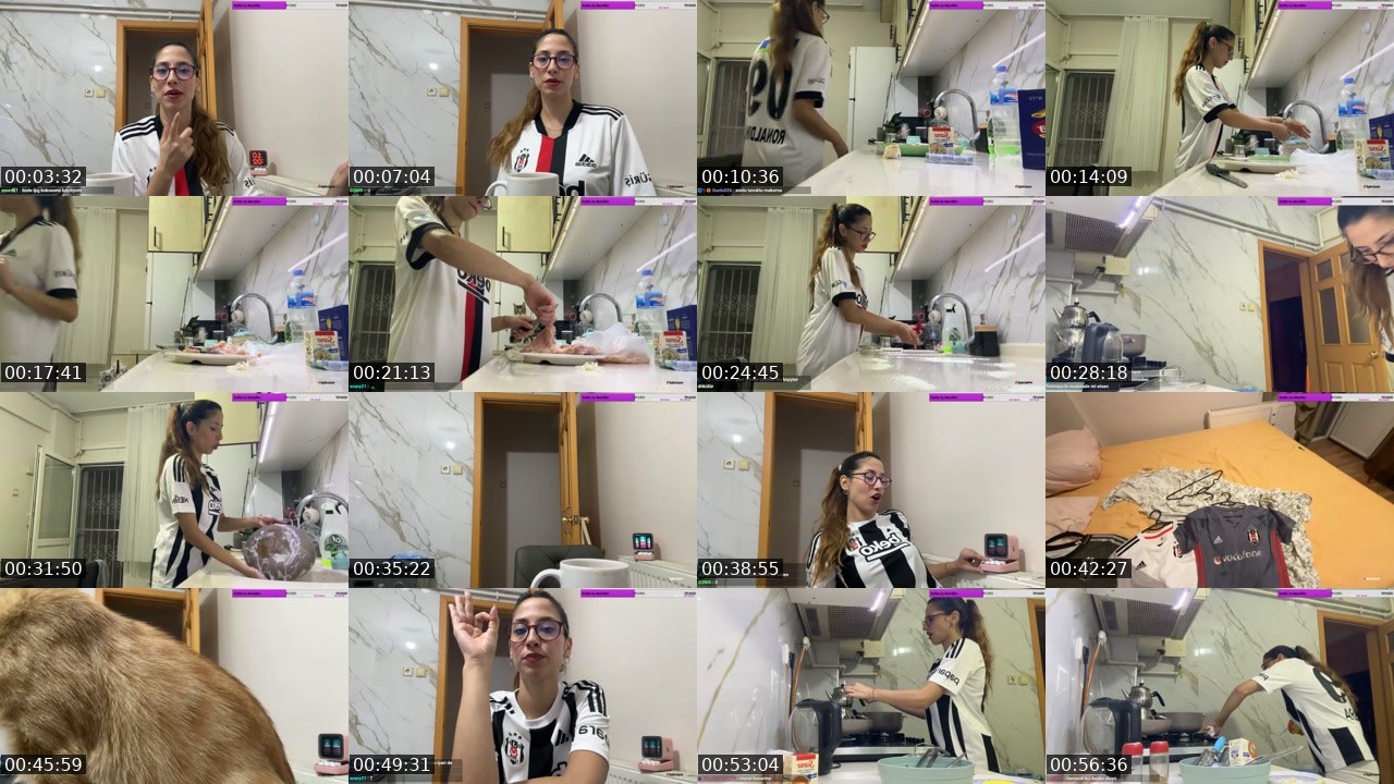Contact-sheet preview of kybeleniz's Kick recording