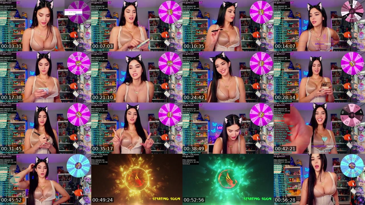 Contact-sheet preview of CinCinBear's Kick recording