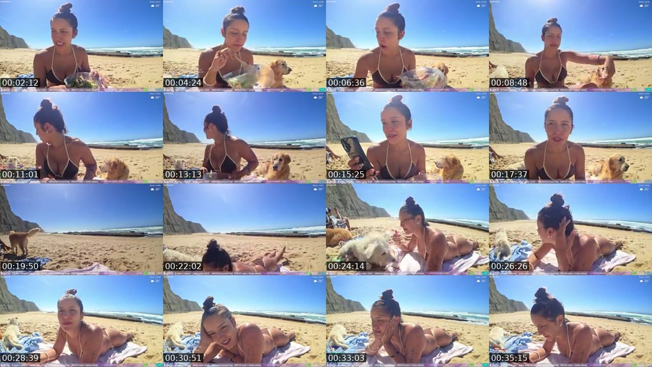 Contact-sheet preview of karii's Kick recording