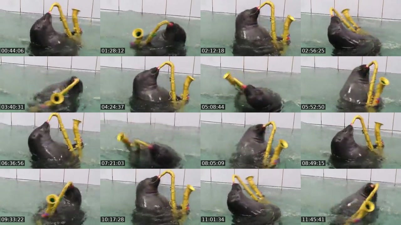 Contact-sheet preview of FlexingSeal's Kick recording