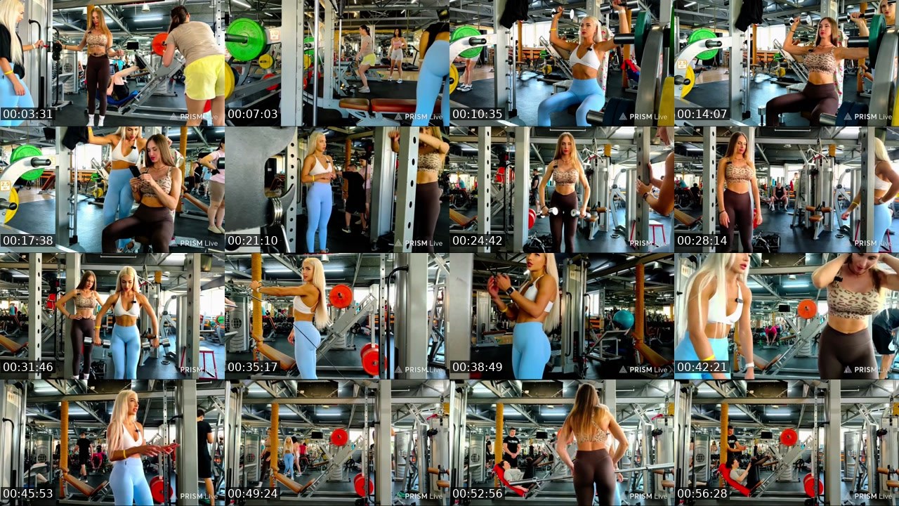 Contact-sheet preview of Miladeva's Kick recording