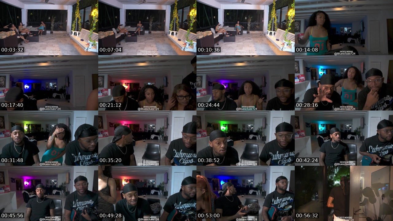 Contact-sheet preview of bluesclues124's Kick recording