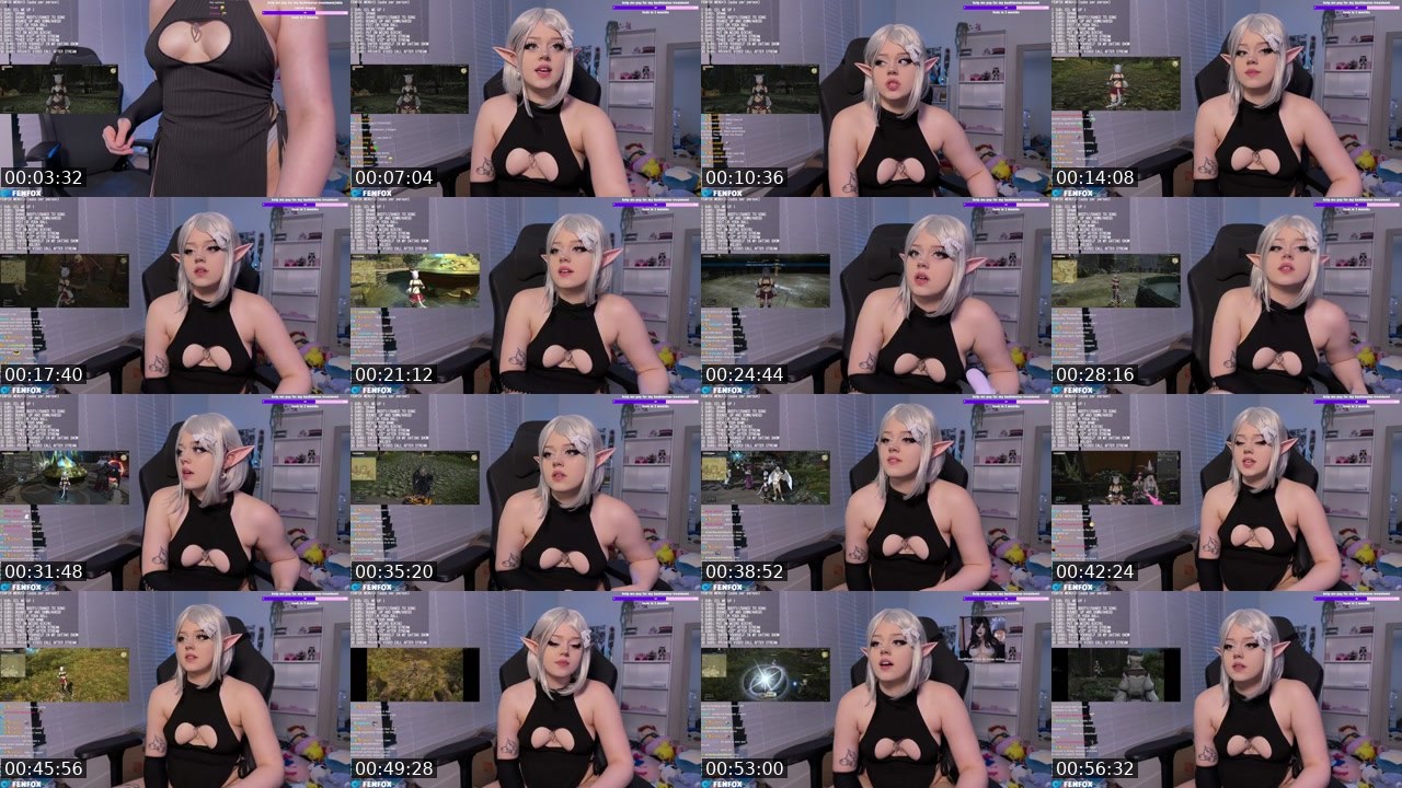 Contact-sheet preview of fenfoxTV's Kick recording