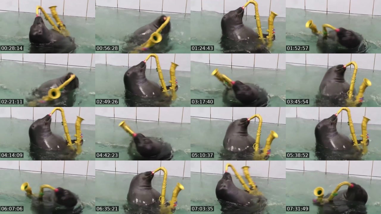 Contact-sheet preview of FlexingSeal's Kick recording