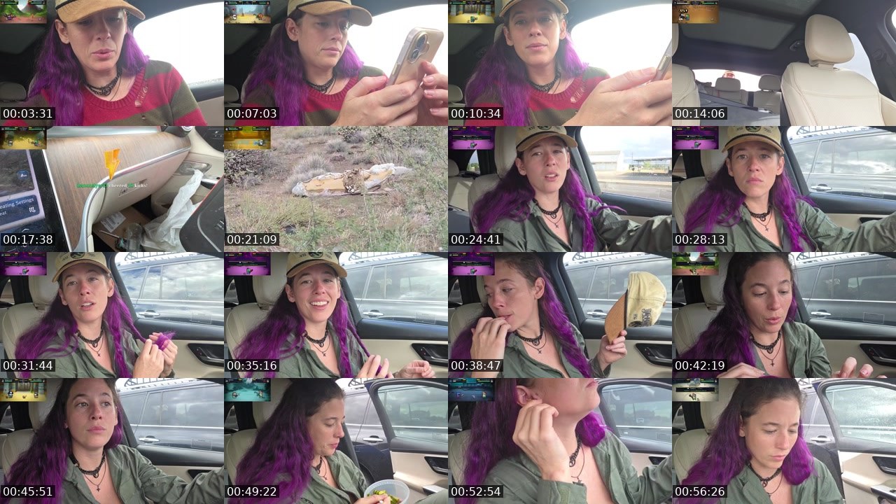 Contact-sheet preview of FlexieFae's Kick recording