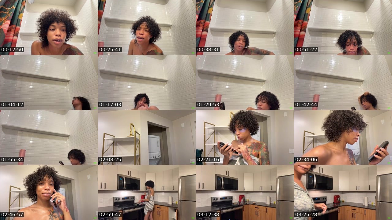 Contact-sheet preview of indiandior's Kick recording