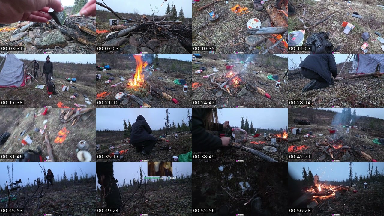 Contact-sheet preview of JollyIRL's Kick recording