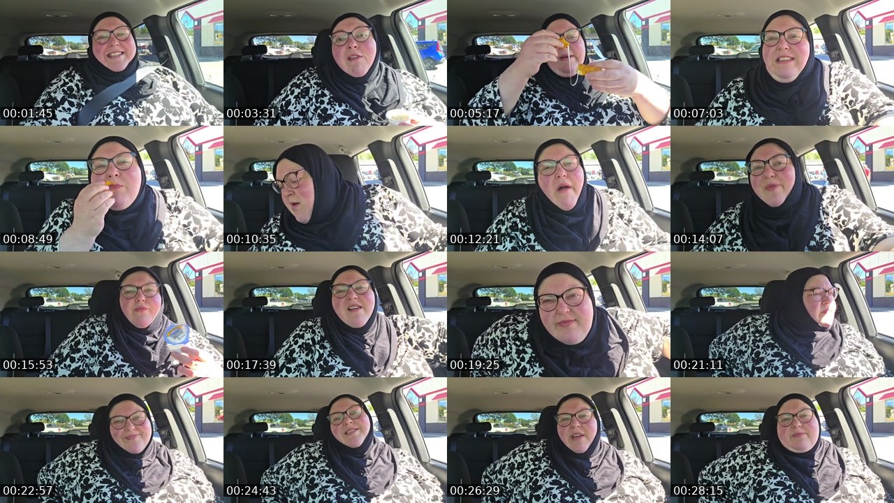 Contact-sheet preview of foodiebeautykick's Kick recording