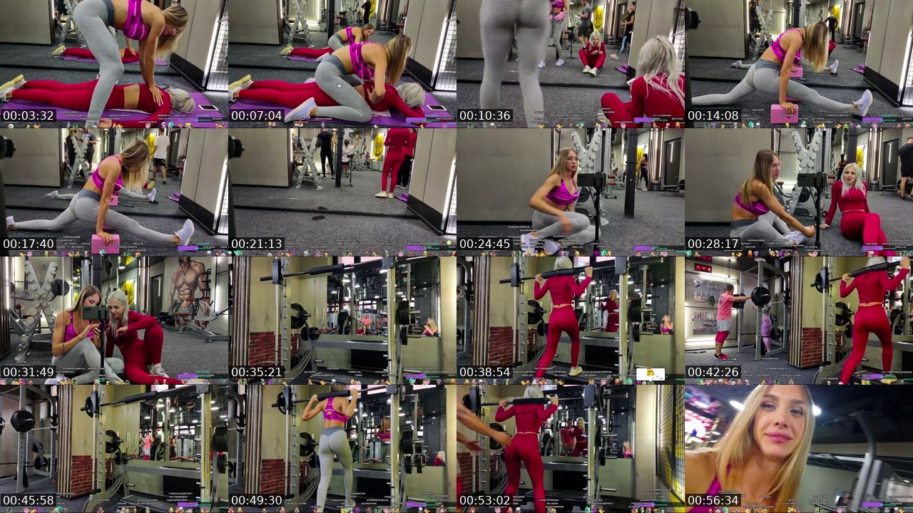 Contact-sheet preview of Miladeva's Kick recording