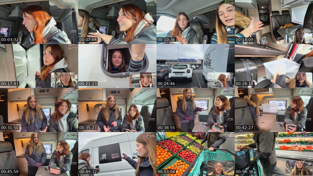 Contact-sheet preview of StudyTme's Kick recording