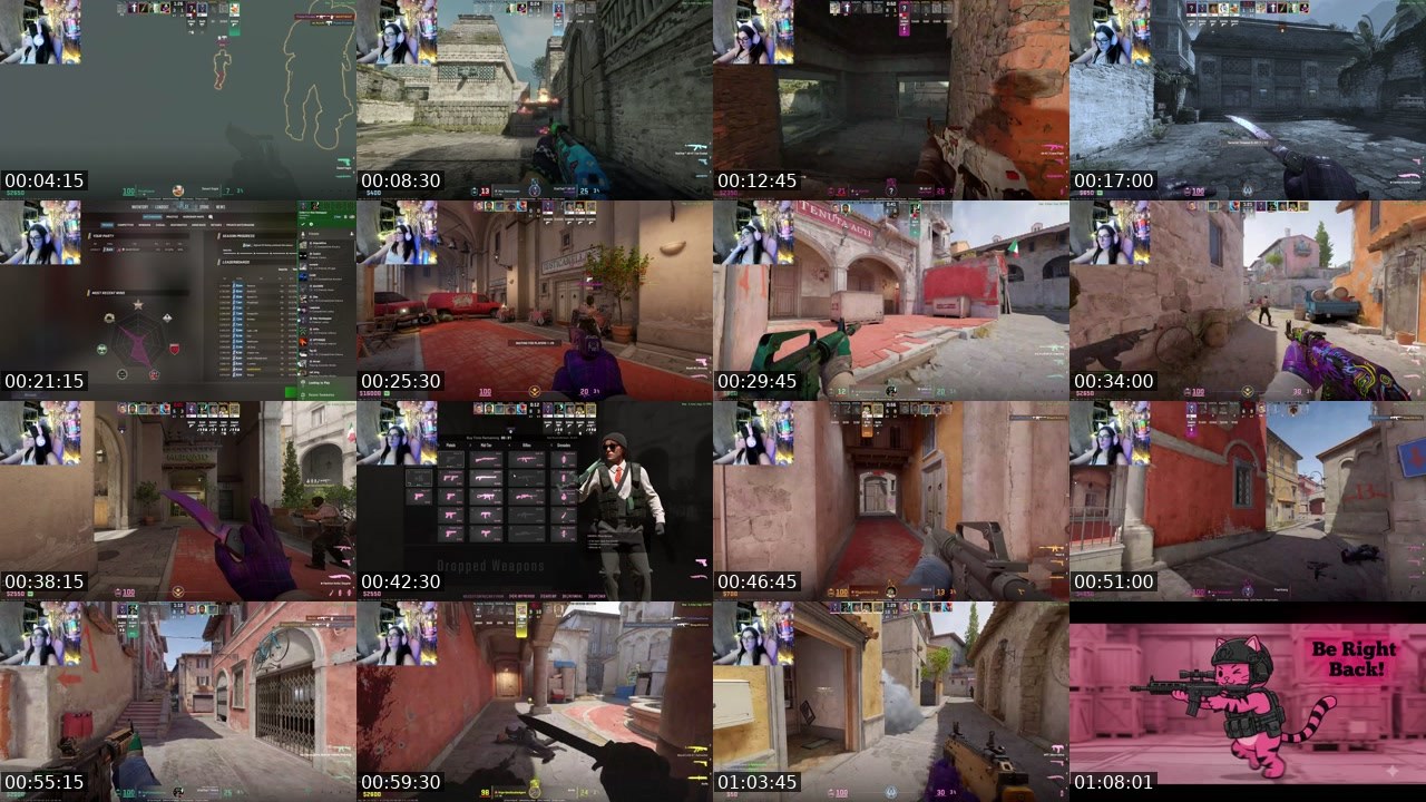 Contact-sheet preview of PixelKat's Kick recording