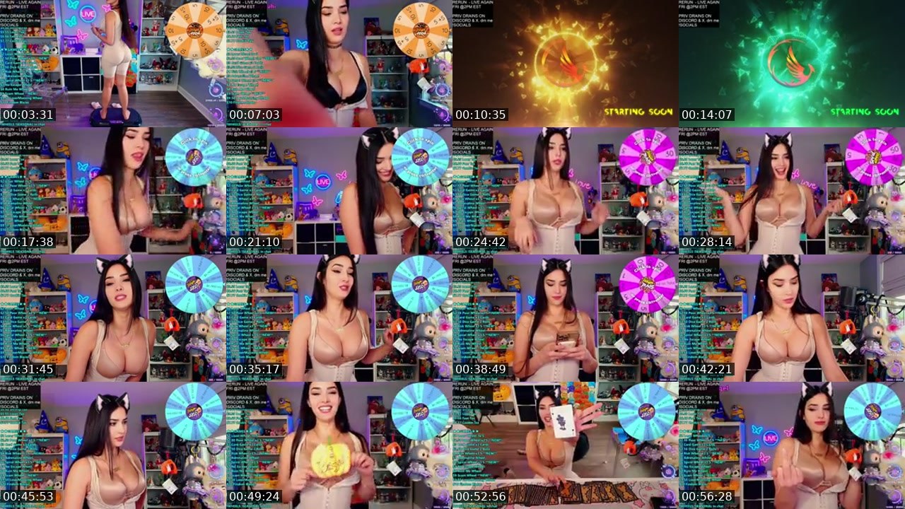 Contact-sheet preview of CinCinBear's Kick recording