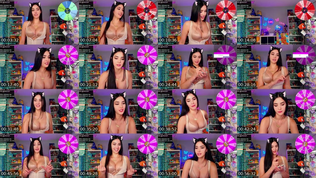 Contact-sheet preview of CinCinBear's Kick recording
