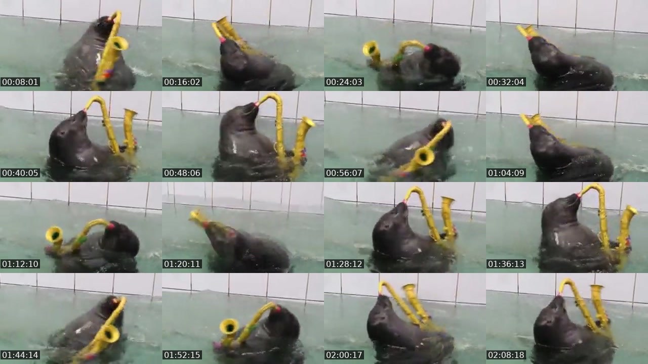 Contact-sheet preview of FlexingSeal's Kick recording