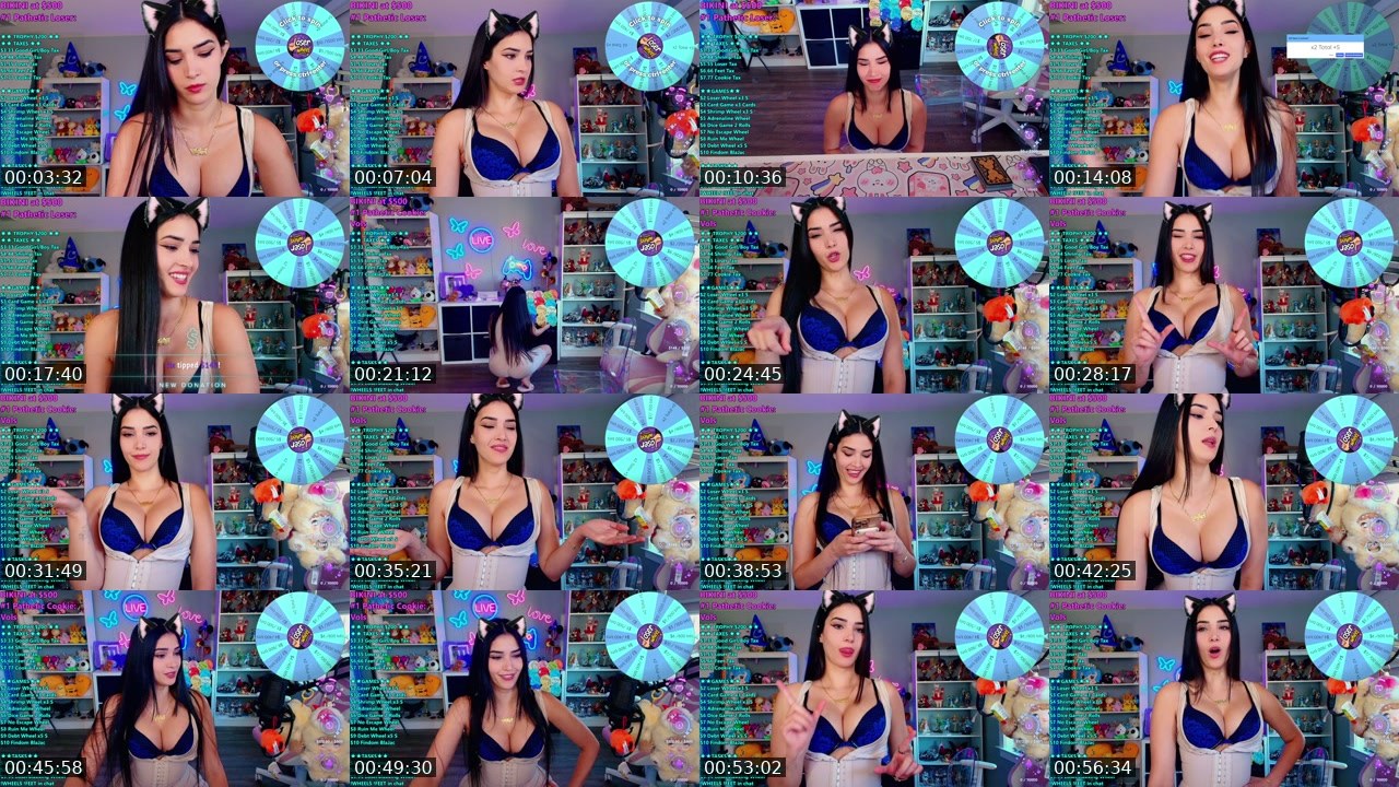 Contact-sheet preview of CinCinBear's Kick recording