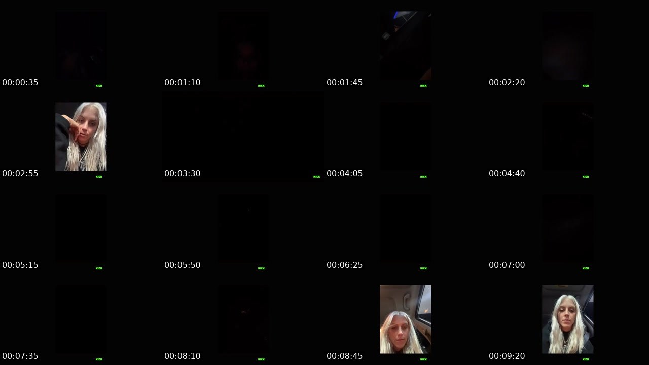 Contact-sheet preview of Sk8Bae's Kick recording