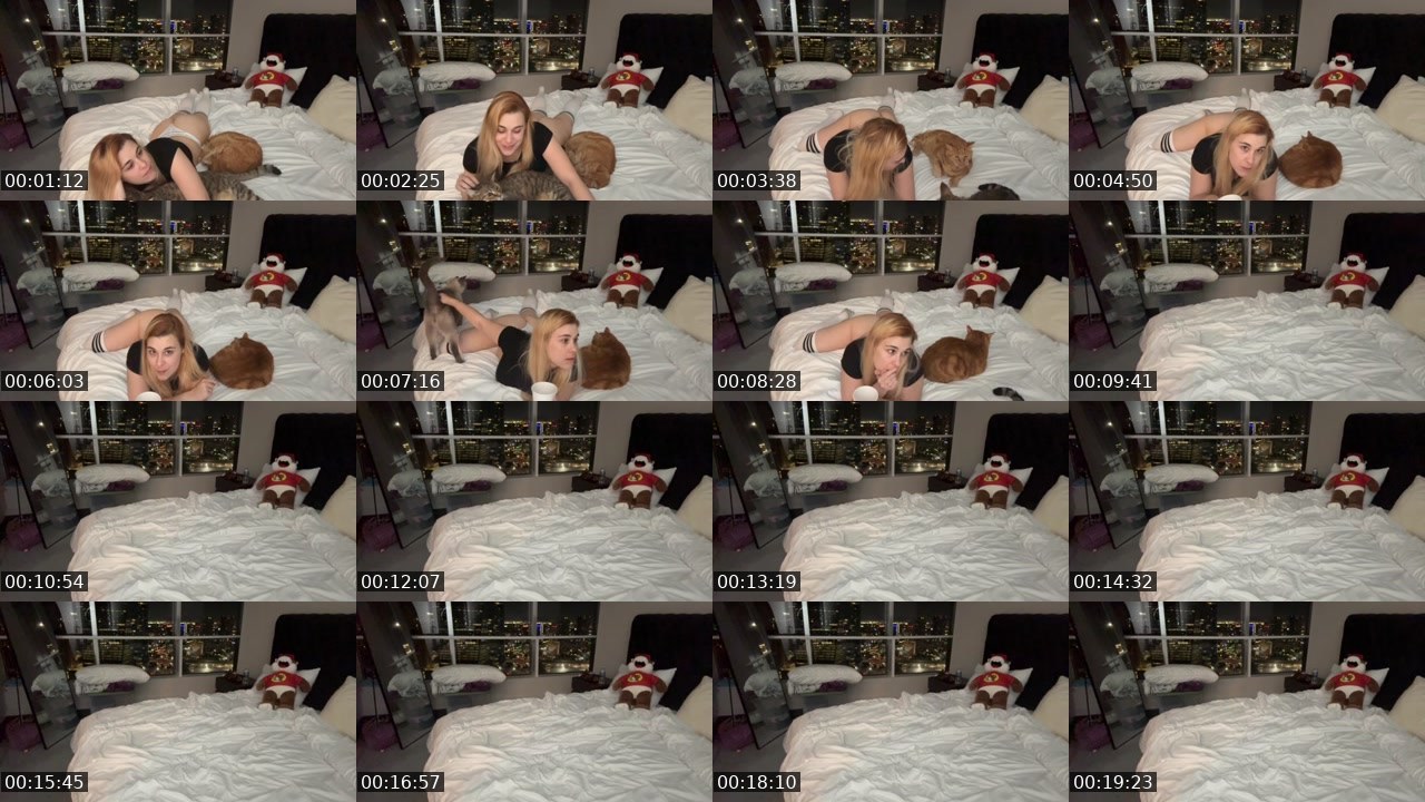 Contact-sheet preview of KittyCass's Kick recording