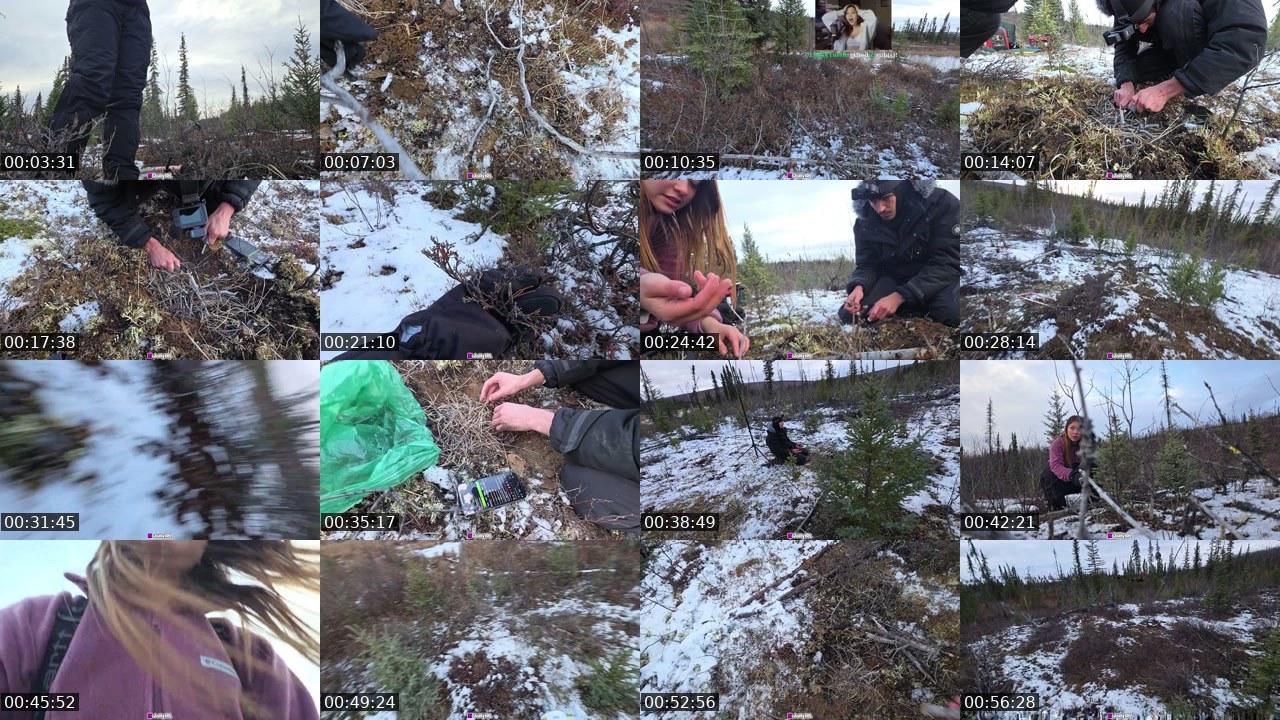 Contact-sheet preview of JollyIRL's Kick recording