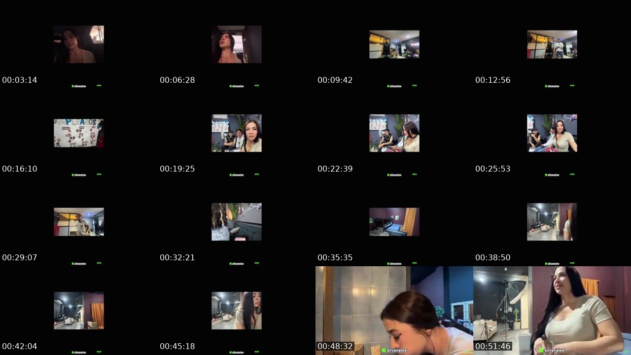 Contact-sheet preview of Silvanalee's Kick recording