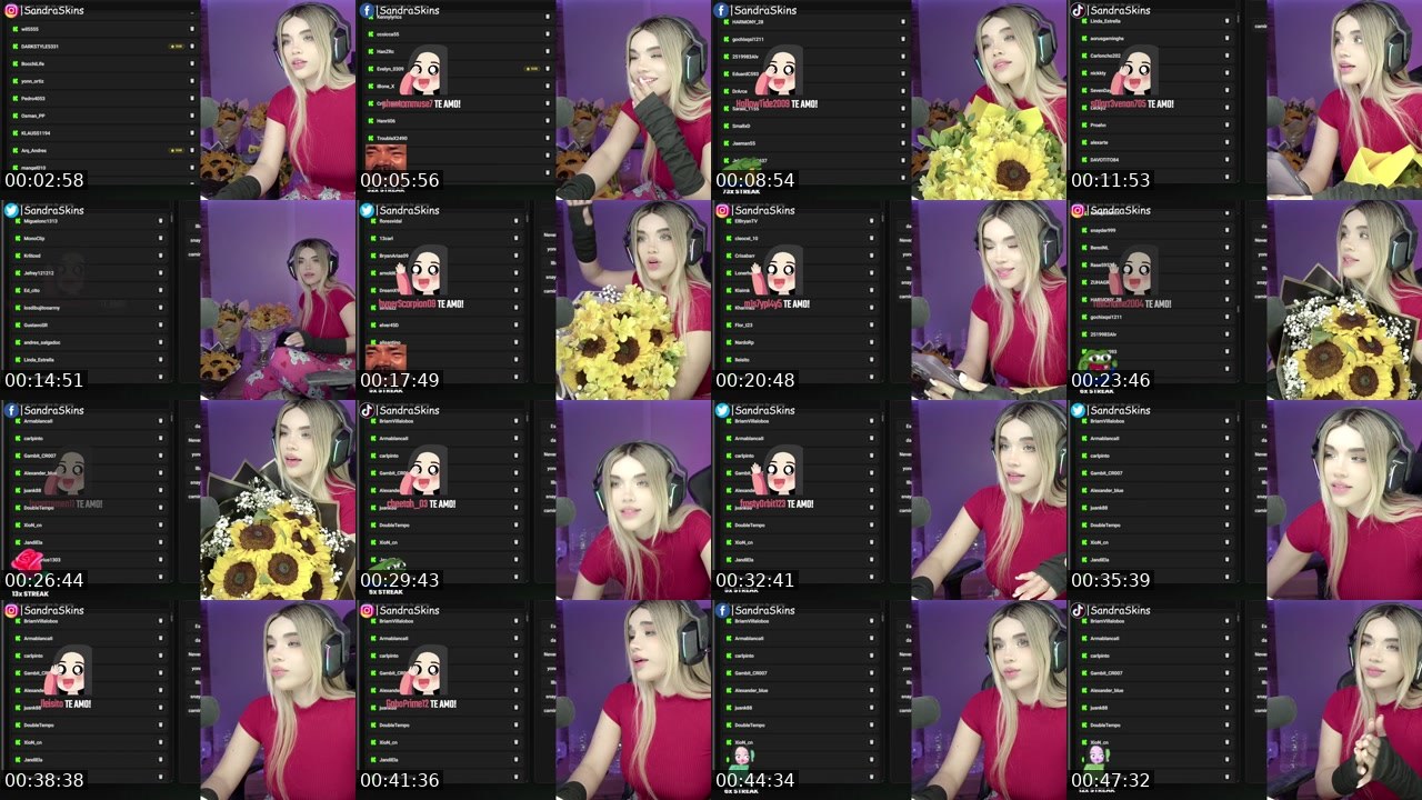 Contact-sheet preview of sandraskins's Kick recording