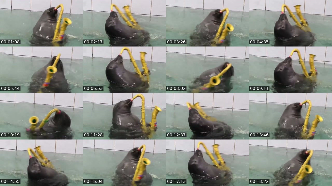Contact-sheet preview of FlexingSeal's Kick recording