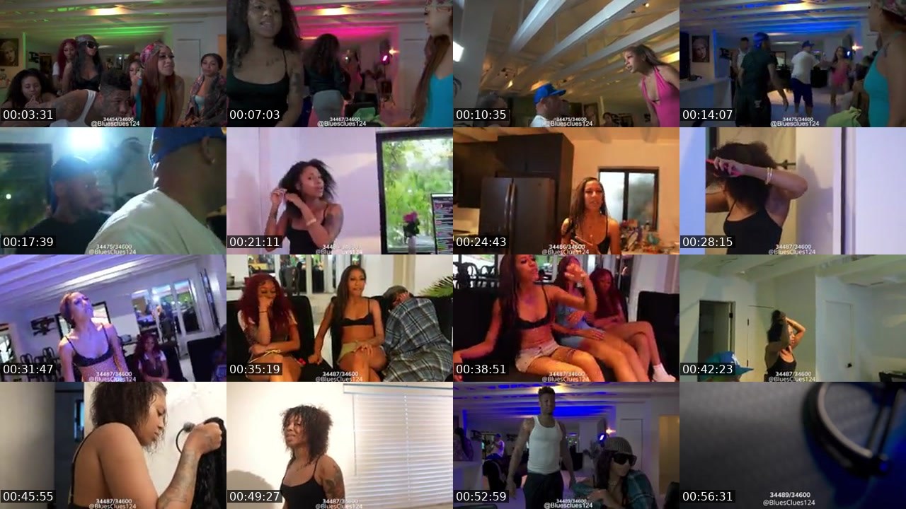 Contact-sheet preview of bluesclues124's Kick recording