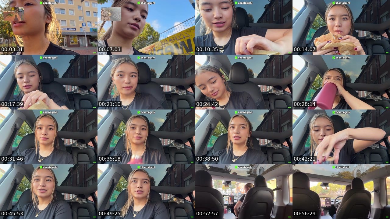 Contact-sheet preview of chantalgehl's Kick recording