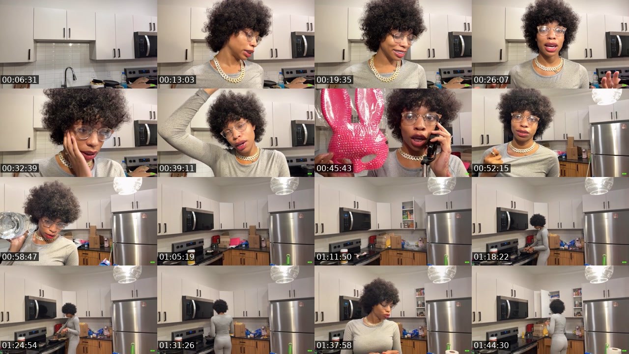 Contact-sheet preview of indiandior's Kick recording