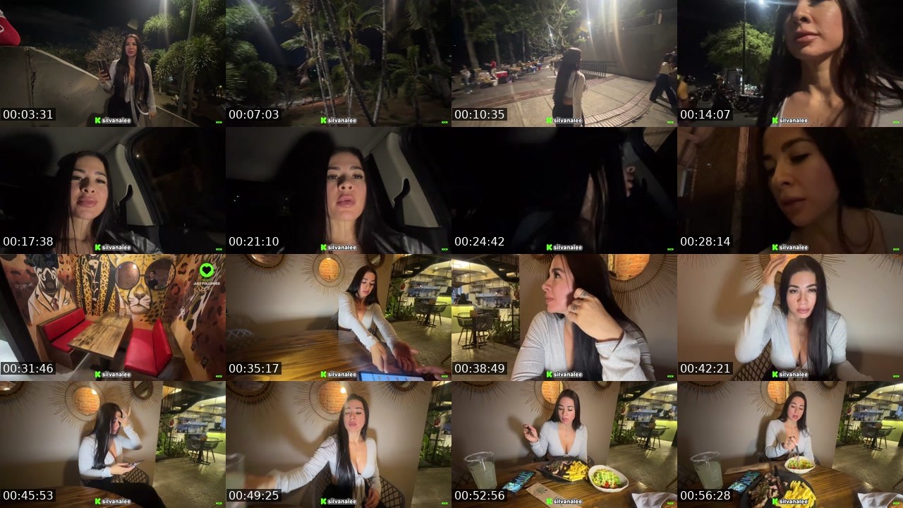 Contact-sheet preview of Silvanalee's Kick recording