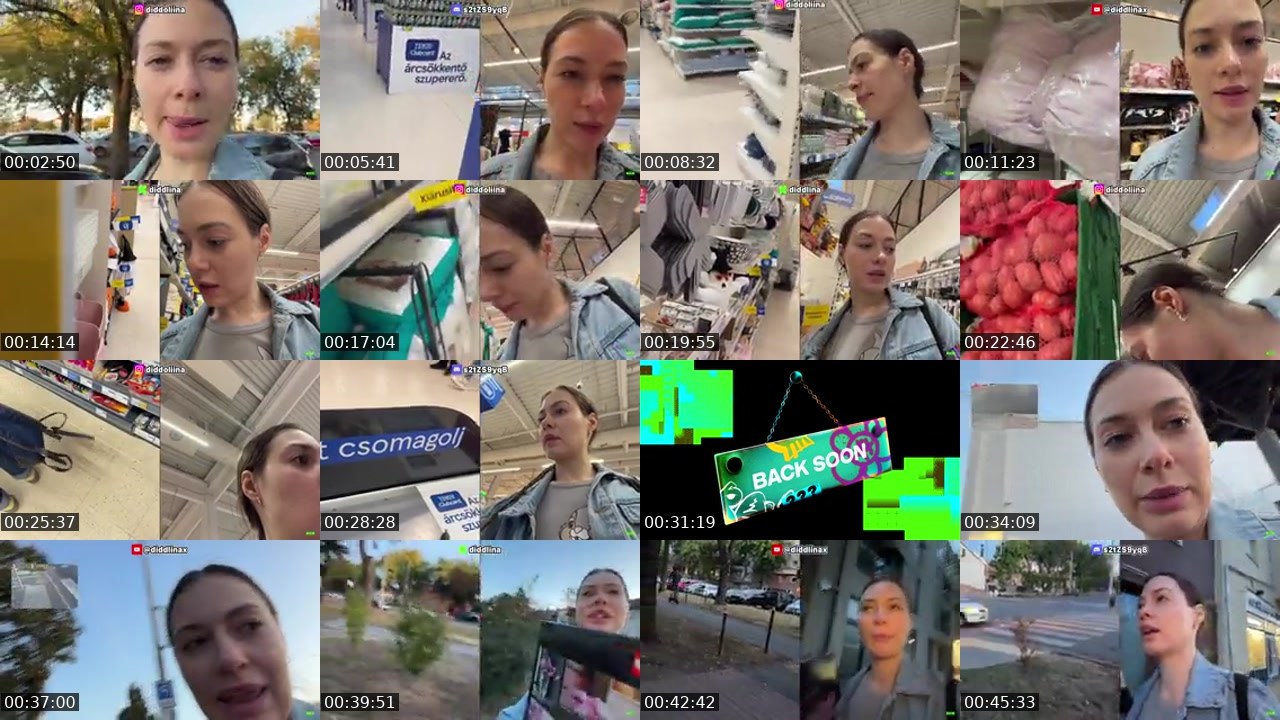 Contact-sheet preview of diddlina's Kick recording