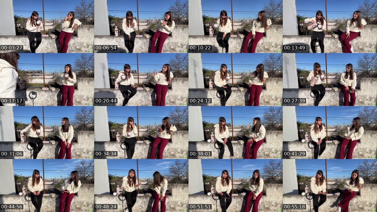 Contact-sheet preview of Zoelilen's Kick recording