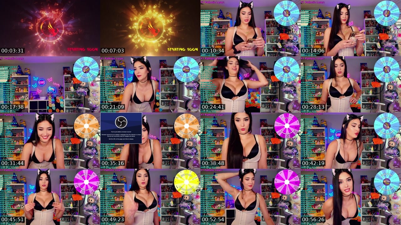Contact-sheet preview of CinCinBear's Kick recording