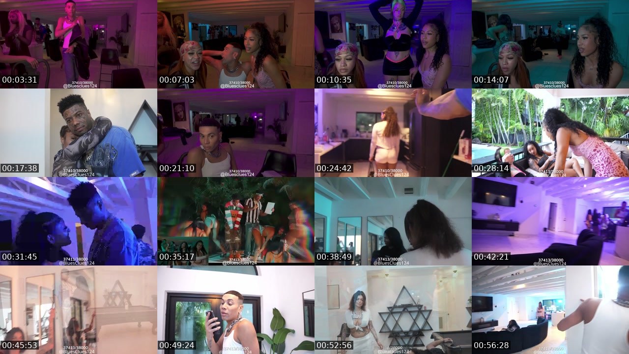 Contact-sheet preview of bluesclues124's Kick recording