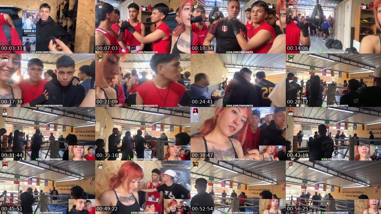 Contact-sheet preview of PauChikita's Kick recording