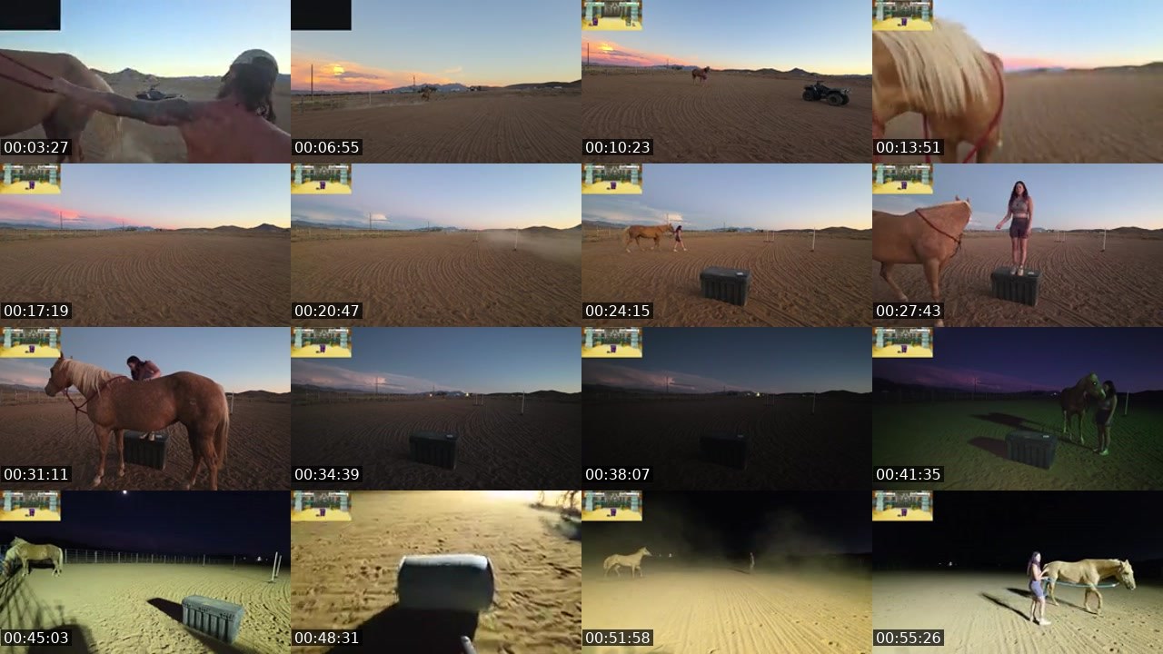 Contact-sheet preview of FlexieFae's Kick recording