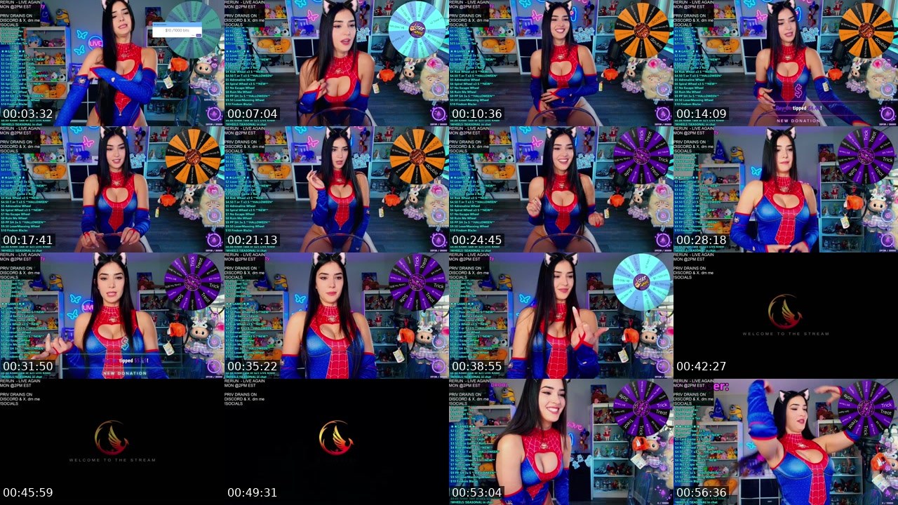 Contact-sheet preview of CinCinBear's Kick recording