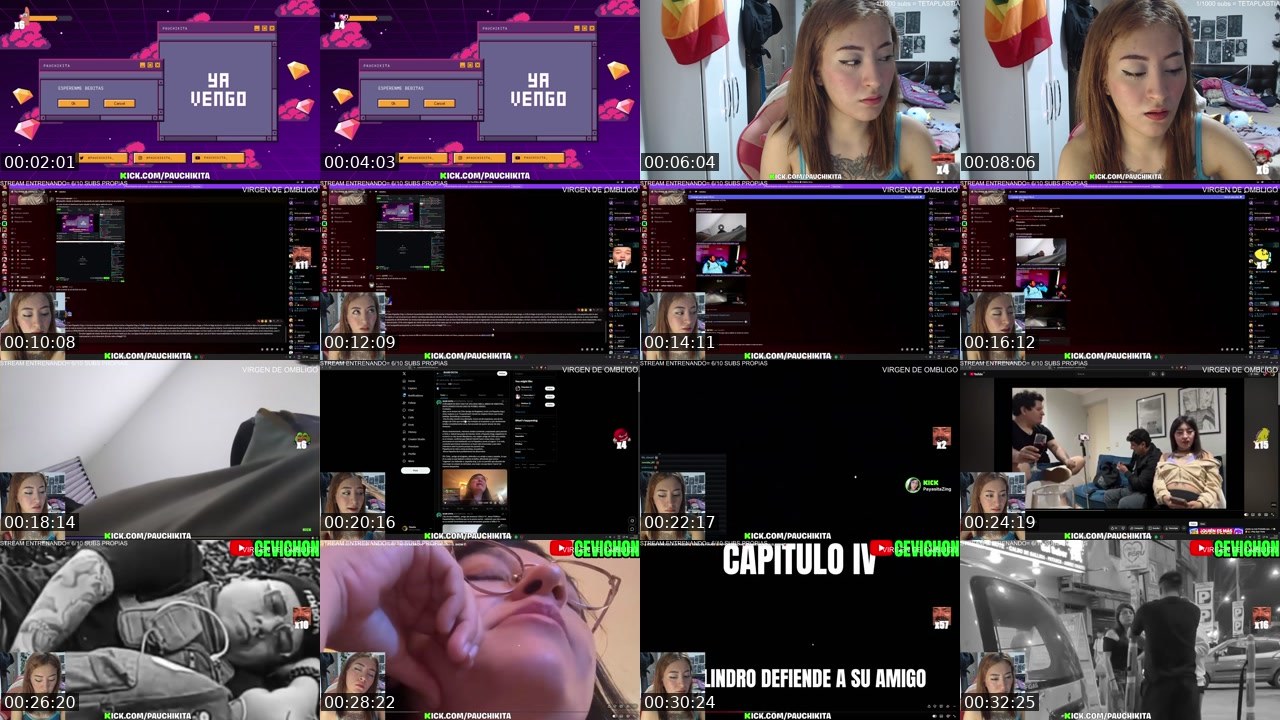 Contact-sheet preview of PauChikita's Kick recording