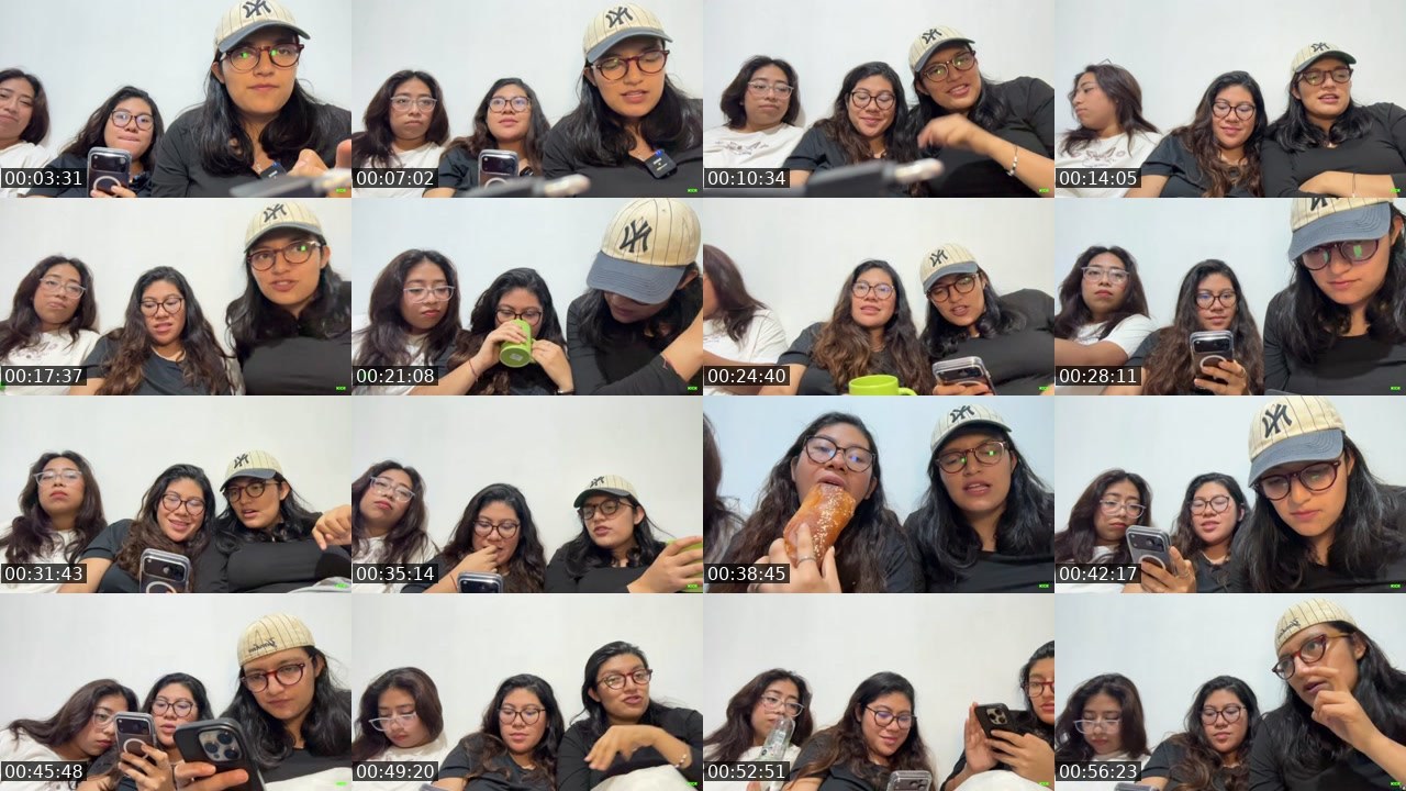 Contact-sheet preview of ZairaJR33's Kick recording