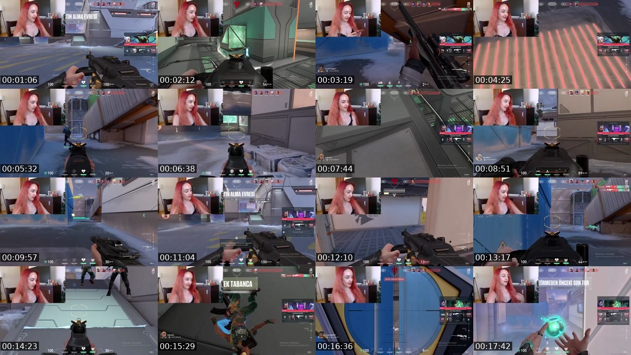Contact-sheet preview of aycazafer's Kick recording