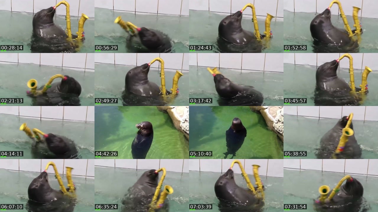 Contact-sheet preview of FlexingSeal's Kick recording