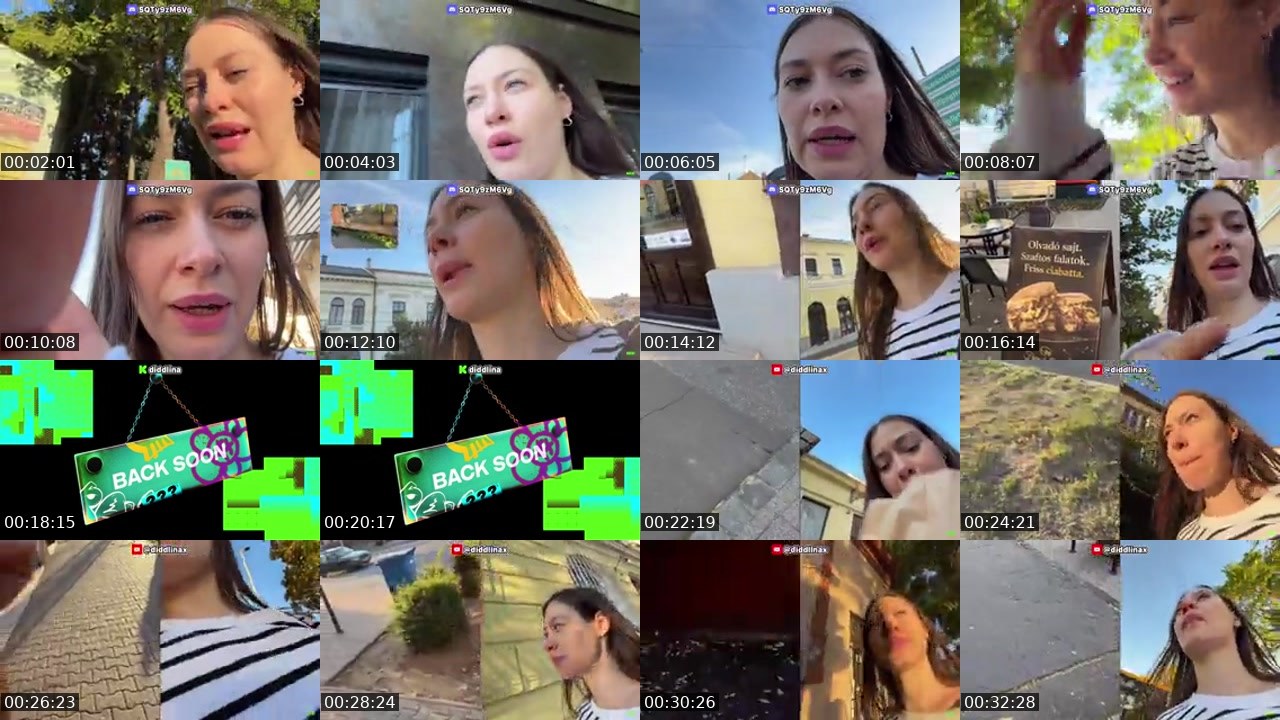 Contact-sheet preview of diddlina's Kick recording